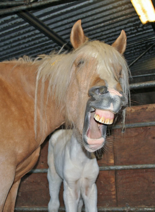 Annie yawning from her newborn Son wearing her out