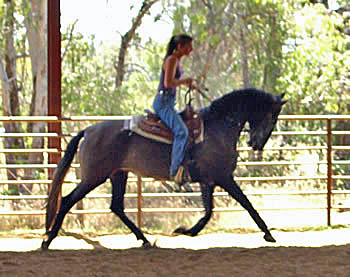 Vaquera and Tammy May 2004