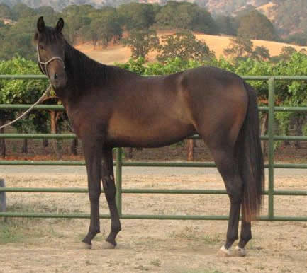 Alexander at 2 years old