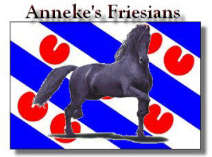 Home of "Zeade RS" aka "Tropical Rider's Weiger"