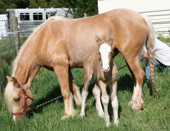 Annie with her 2009 Colt, O'rion RS