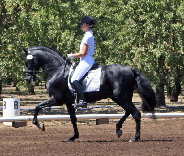Dressage in the Almonds August 2007!