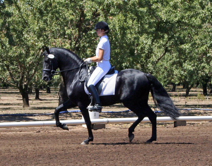 Dressage in the Almonds August 2007!