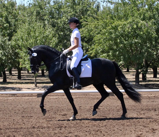 Dressage in the Almonds August 2007!