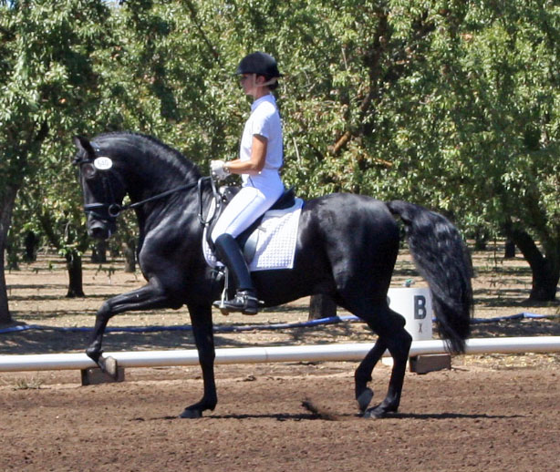 Dressage in the Almonds August 2007!