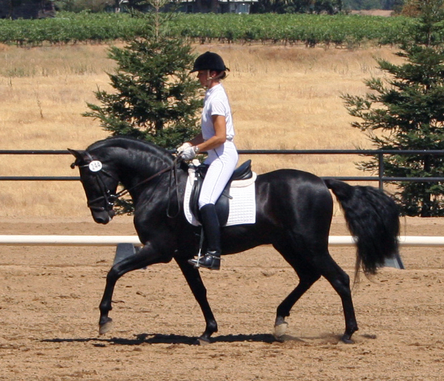 Calisto and Sandy August 3 2007