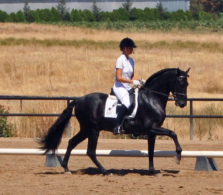 Calisto and Sandy August 3 2007