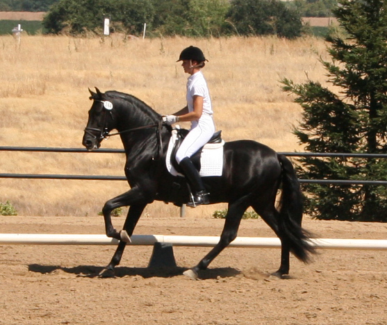 Calisto and Sandy August 3 2007