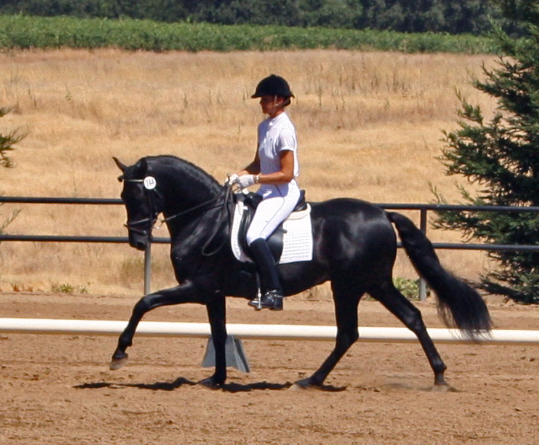 Calisto and Sandy August 3 2007