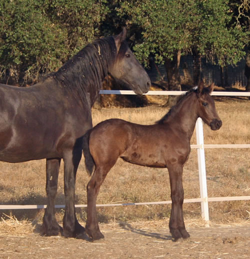 Carre and her Mom, Trude - August 3, 2008