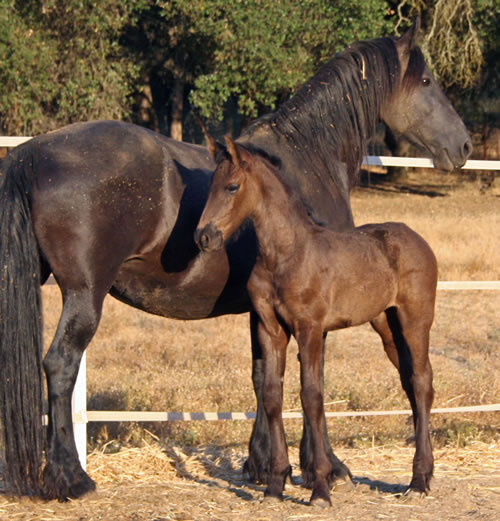 Carre and her Mom, Trude - August 3, 2008