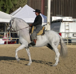 Indiano and Sharon at the Andalusian Celebration 2003