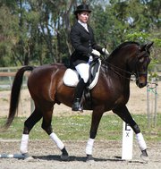 Jordan Rohana Dressage