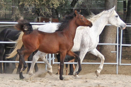 Naala and her Mom October 18, 2008!