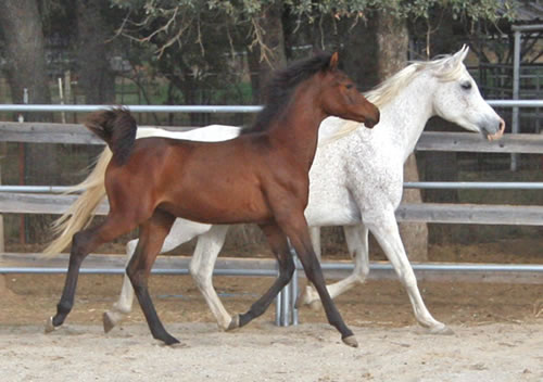 Naala and her Mom October 18, 2008!