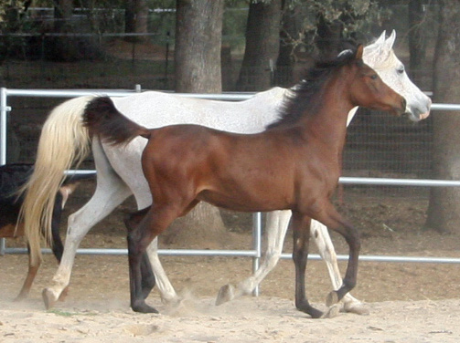 Naala and her Mom October 18, 2008!