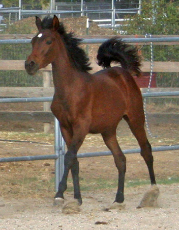 Naala October 18, 2008!