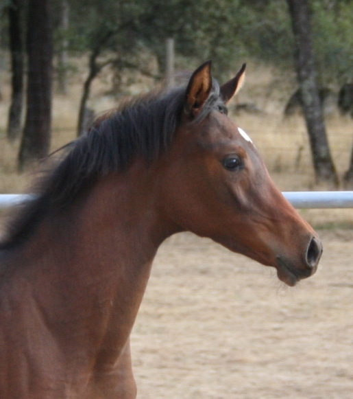 Naala October 18, 2008!