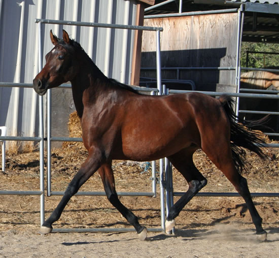 Naala September 2010