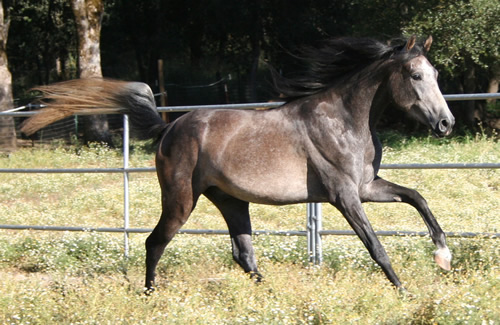 Simbaa July 10, 2011