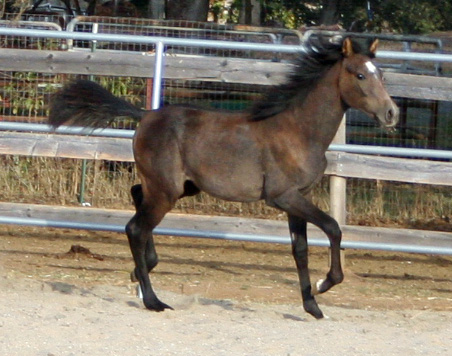 Simbaa October 18, 2008!