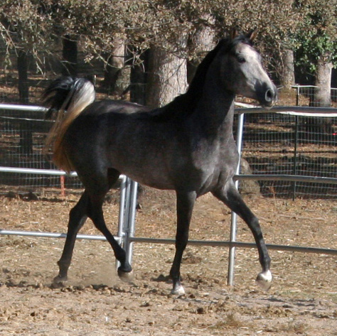 Simbaa October 1, 2011