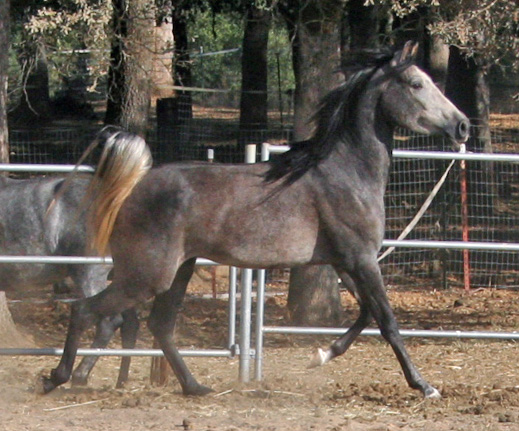 Simbaa October 1, 2011