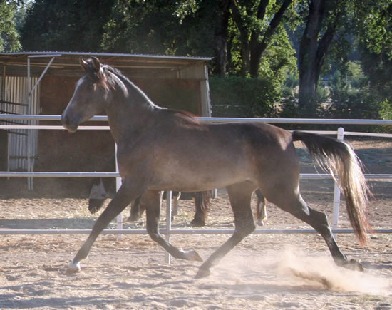 Simbaa September 2010