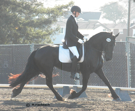 Tsjitske and Dan at the Santa Rosa Fairgrounds 2010