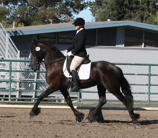 Tsjitske and Jordan at the Santa Rosa Fairgrounds 2011