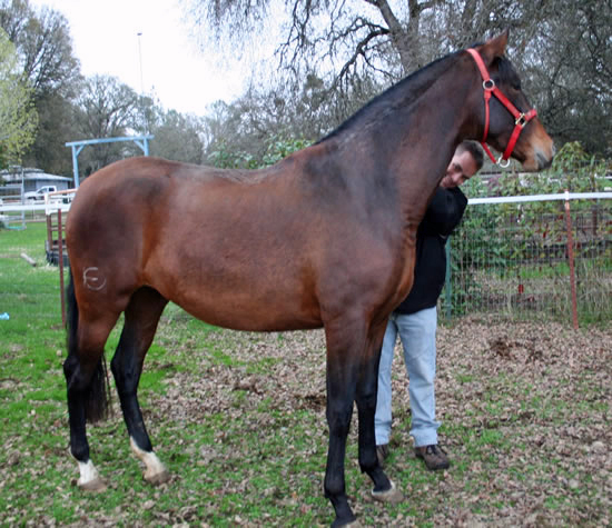 Tchula November 2007