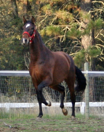 Tchula November 2007