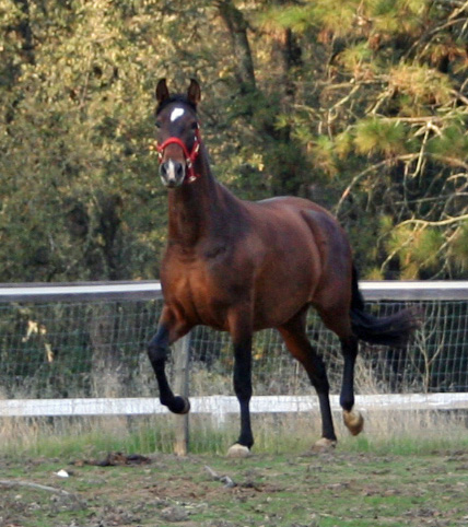 Tchula November 2007