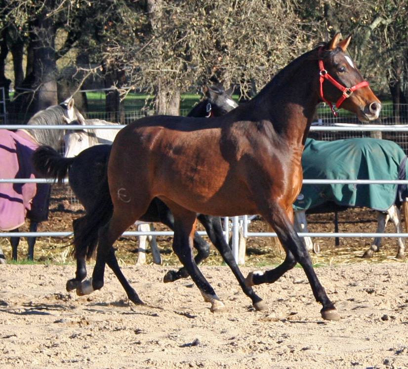 Tchula November 2007