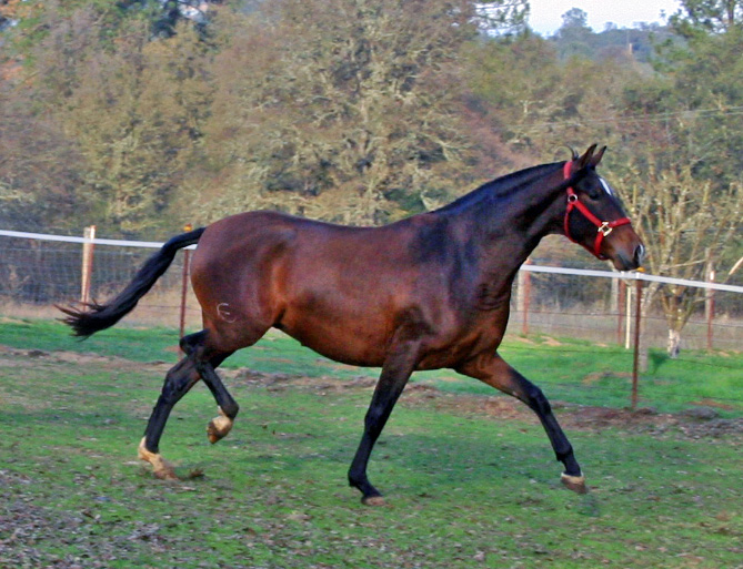 Tchula November 2007