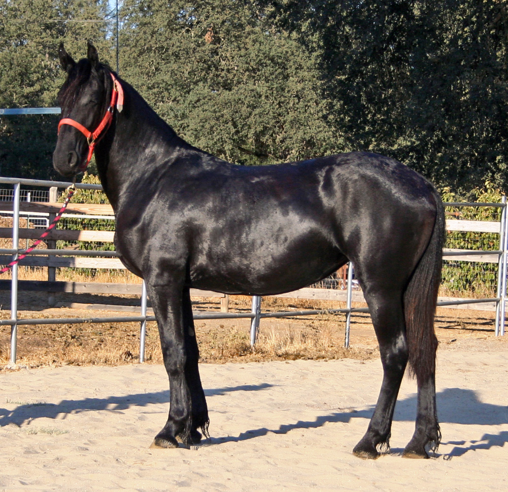 Trix August 25, 2007