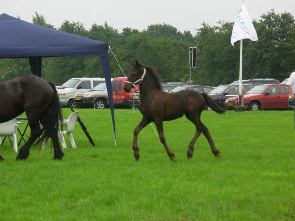 Trix at the 2006 keuring with her Mom in the Netherlands