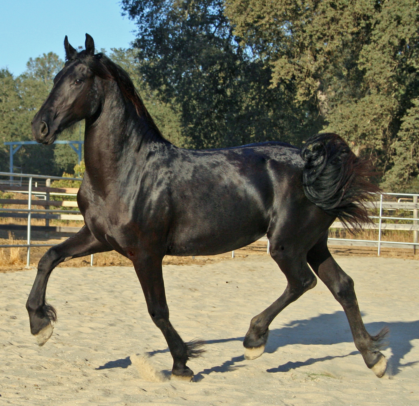 Trix August 25, 2007