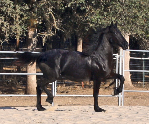 Trix August 25, 2007