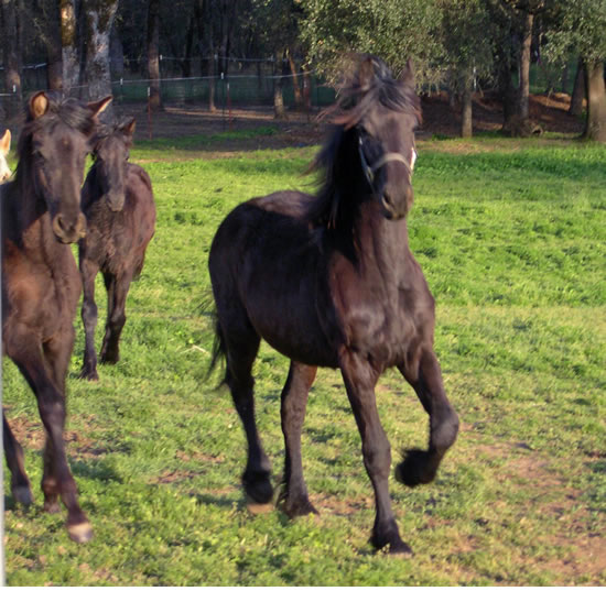 Trix with Marquesa and Tatiana April 5 2007 