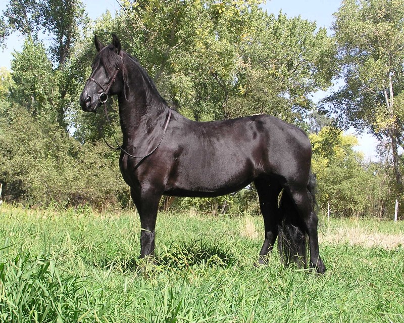 Trude September 2006