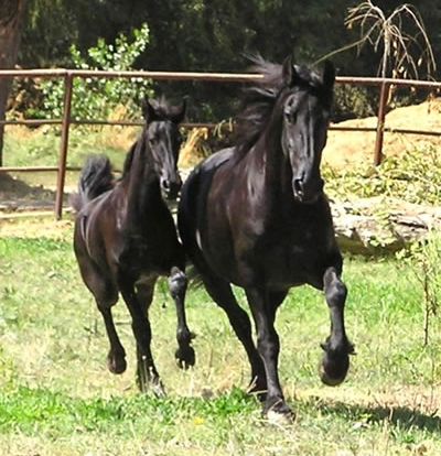 Trude and Tatiana September 2006