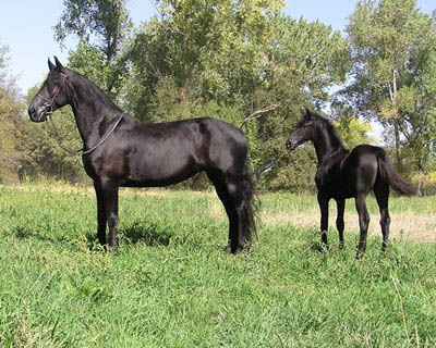 Trude and Tatiana September 2006