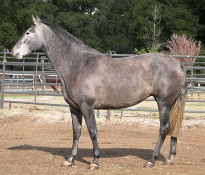 Vaquera October 2004