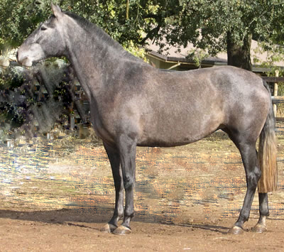 Vaquera October 2004